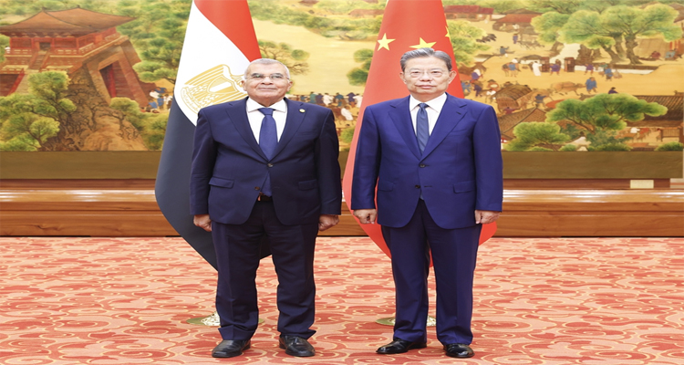 赵乐际、王沪宁分别会见埃及参议长法里德
